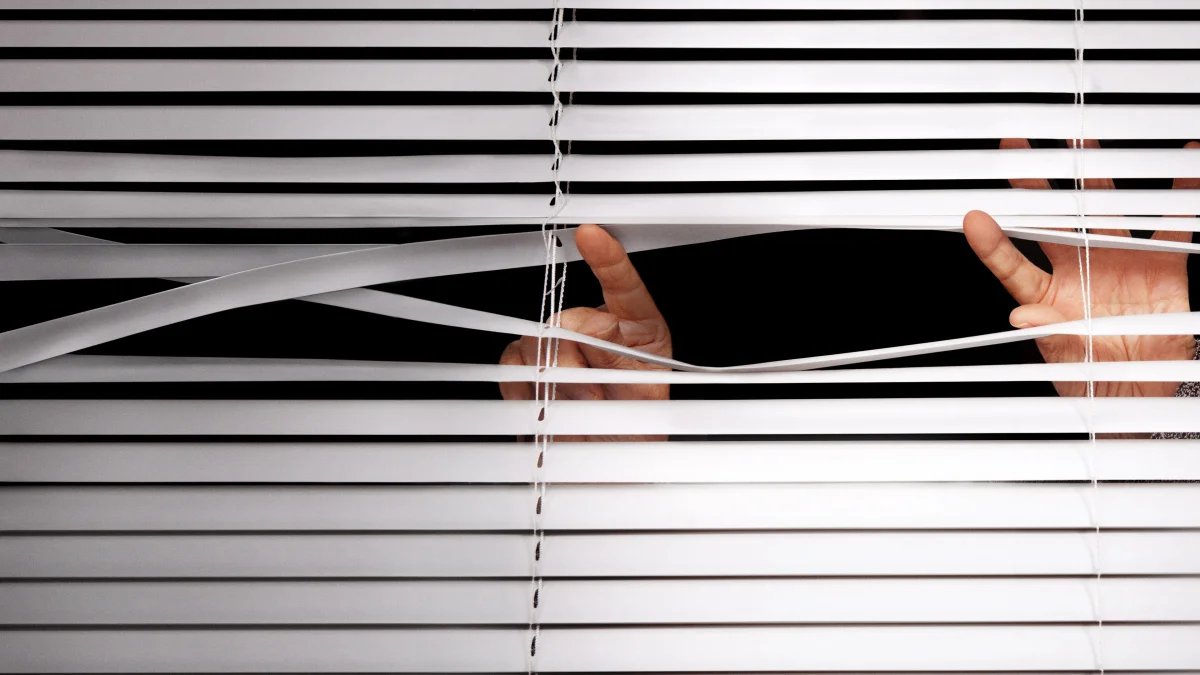 Neighbors - 1 Staffel